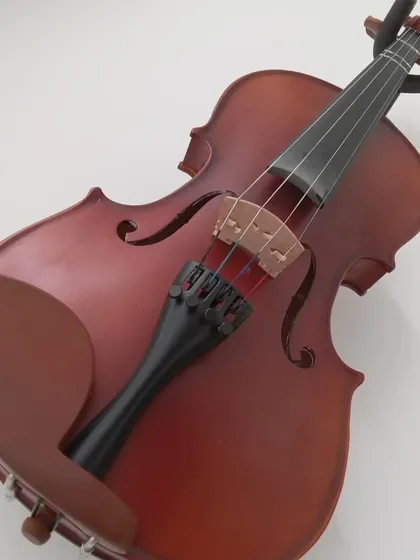 A close-up of a violin, one of the many instruments we teach at our school.