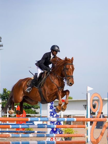 Another powerful shot of Ajey and Vedette competing at the FEI World Challenge, showcasing their strength and partnership.