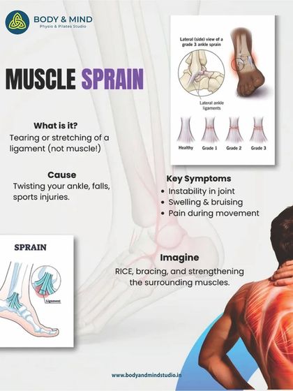 Body & Mind PhysioPilates Studio - Physical Therapy & Rehabilitation Understanding Your Body: Educational Insights photo 7