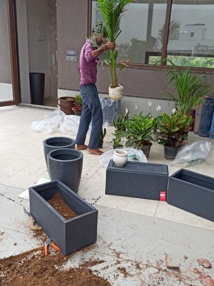 Greenium - Interior Plantscaping & Decor Outdoor Living: Balconies, Terraces & Backyards photo 9