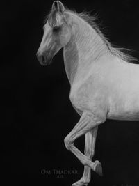 Original Fine Art & Prints