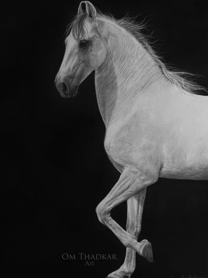 The elegance of a white horse against a dark background creates a striking visual. In this piece, I used negative space and subtle shading to define the horse's graceful form and gentle movement.