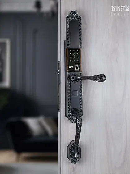 In a bold black nickel matte finish, our smart lock takes on a contemporary and dramatic persona. The keypad and fingerprint scanner are seamlessly integrated into the design, offering a sleek and sophisticated security solution for the modern home.