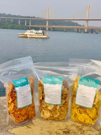 Travel-Friendly Food Packs