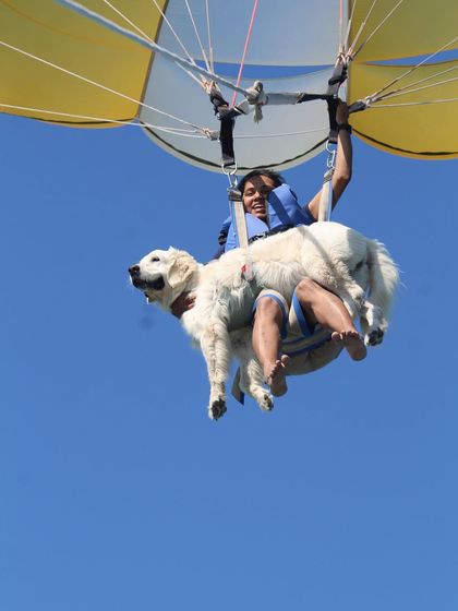 Deepthi - Dog Travel & Adventure Coaching Extreme Adventures: Pushing Boundaries Safely photo 3