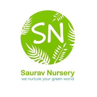 Saurav Nursery World