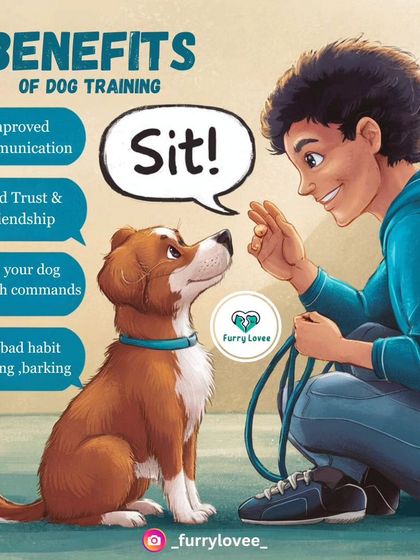 An illustrated version showing the core benefits of dog training. It helps build a strong bond, ensures safety through reliable commands, and creates a happier life for both you and your dog.