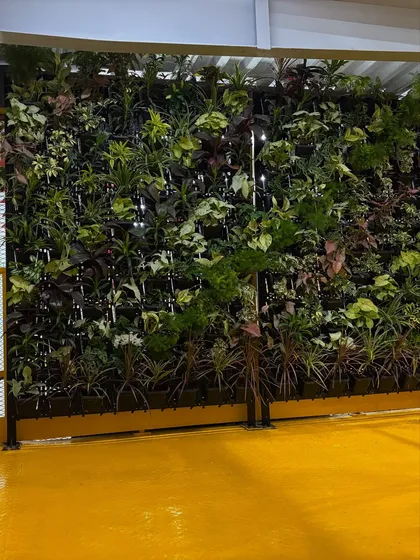 Another angle of a completed vertical garden, showing how it integrates into the building's architecture. These installations are self-watering and low-maintenance.