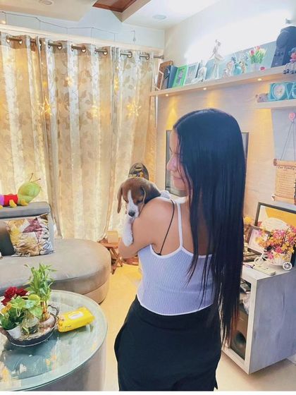 One of our lovely Beagle puppies finding her new best friend. We make sure our pups are well-socialized and ready to become part of the family.