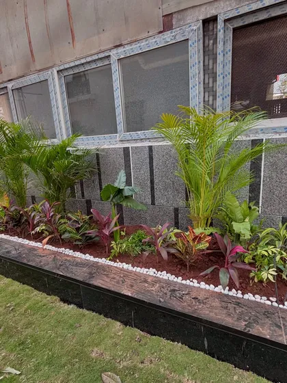 Another angle of the planter beds, showing how I use different plant heights to create visual interest.