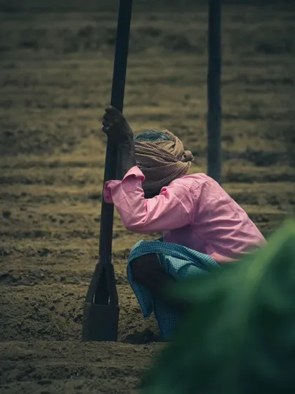 A farmer takes a moment of rest while preparing the soil. This image captures the hard work and connection to the land that goes into every vegetable we grow.