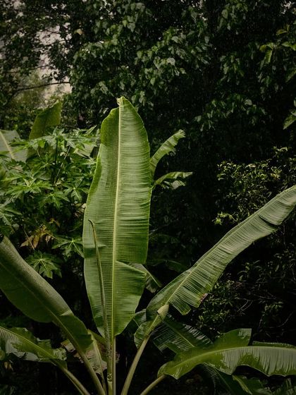 Reflections & Inspirations photo 8