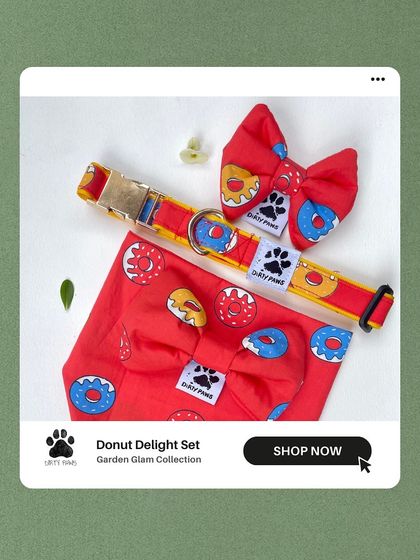 The Donut Delight set, including a collar, bandana, and bow. The bright red fabric and colorful donuts make this a really fun and eye-catching collection.
