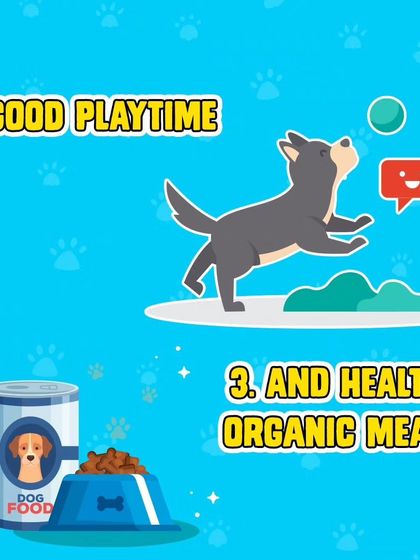 Good playtime and healthy organic meals are two more keys to a long, happy life for your dog. We provide both in abundance.