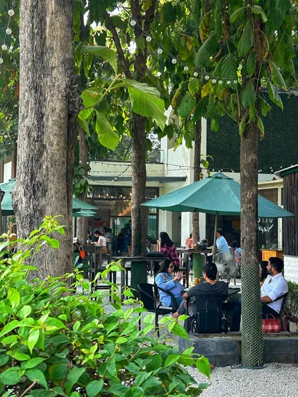 A peek at the cafe patio through the trees, a perfect blend of nature and comfort.