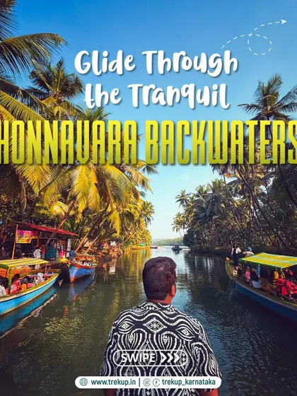 Gliding through the tranquil Honnavara backwaters. This serene boat ride through a mangrove forest is a peaceful highlight of our Gokarna trip, offering a beautiful contrast to the ocean waves.