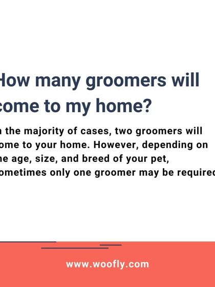 Woofly - At-Home Pet Grooming Services, Pricing, and FAQs photo 18