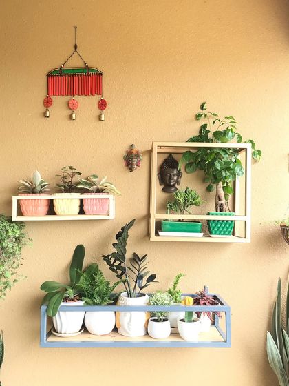 A close-up of the wall shelves, featuring a mix of succulents and small foliage plants. The different colors and textures of the planters and decor add visual interest and personality to the space.