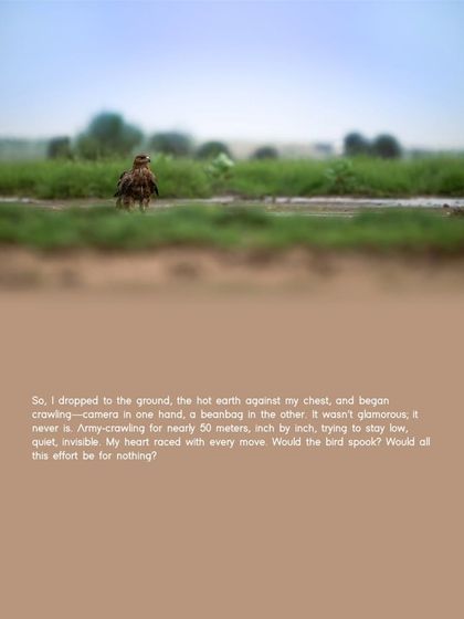 The Art of the Shot: Composition & Creativity photo 9