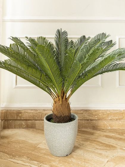 The artificial sago palm is a classic choice for adding a touch of the tropics to your home. Its fanned-out leaves create a beautiful silhouette, and it looks stunning in one of my minimalist planters.