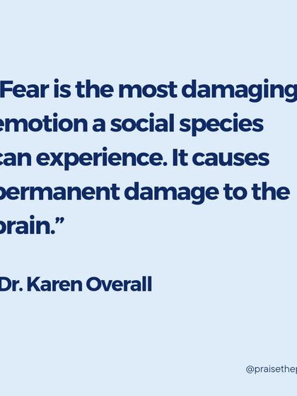 "Fear is the most damaging emotion a social species can experience." This quote from Dr. Karen Overall highlights why addressing fear is so critical. Chronic fear can cause permanent changes to the brain and severely impact a dog's welfare.