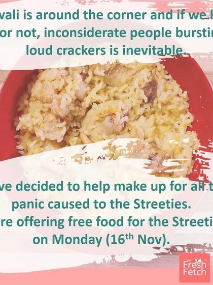 Festivals can be a scary time for streeties because of loud noises. To help ease their stress, we organized a free food drive, offering comforting meals to calm them down. We are always looking for ways to support our furry friends when they need it most.