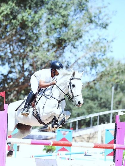 A powerful white horse and rider clear a challenging pink and purple oxer, showcasing the impressive obstacles and skilled jumping at our competitions.