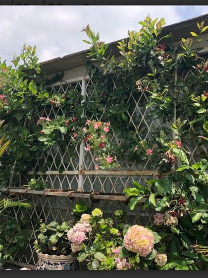 Make My Garden - Garden Design & Landscaping Balcony & Terrace Makeovers photo 3