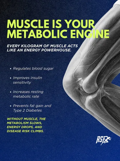 Muscle is your metabolic engine. It regulates blood sugar, improves insulin sensitivity, and increases your resting metabolic rate. Without it, energy drops and disease risk climbs.
