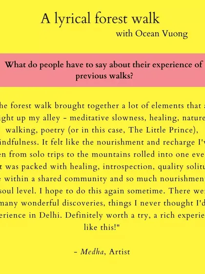 These are more reflections from people who have joined my walks. Their words speak to the soul-nourishing, meditative, and connecting power of blending poetry with nature. I am so grateful for their willingness to share their experiences.
