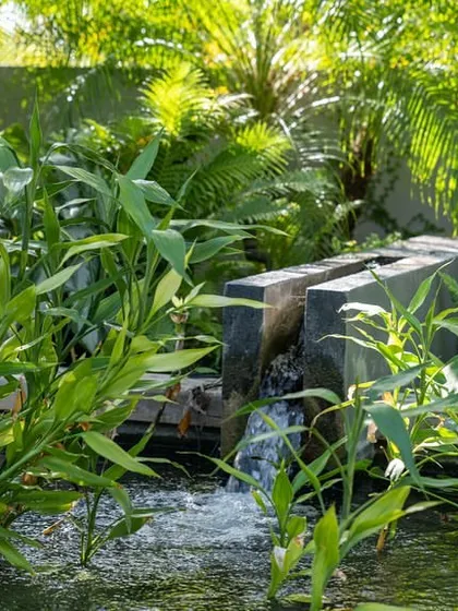A detail of a custom water feature where water flows from a modern stone channel into the pond. This element adds the gentle sound of moving water, enhancing the garden's tranquil atmosphere.