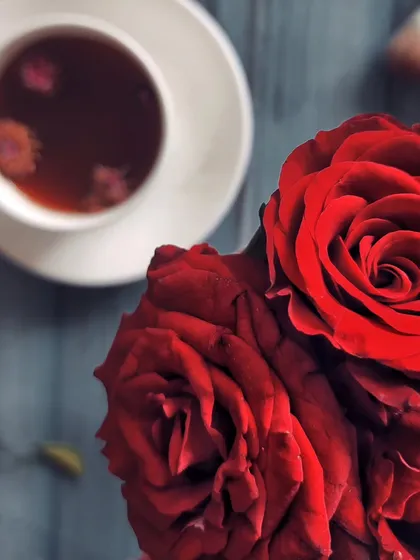 A top-down view of deep red roses with a cup of tea blurred in the background, creating a sense of depth and focusing on the beauty of the flowers.