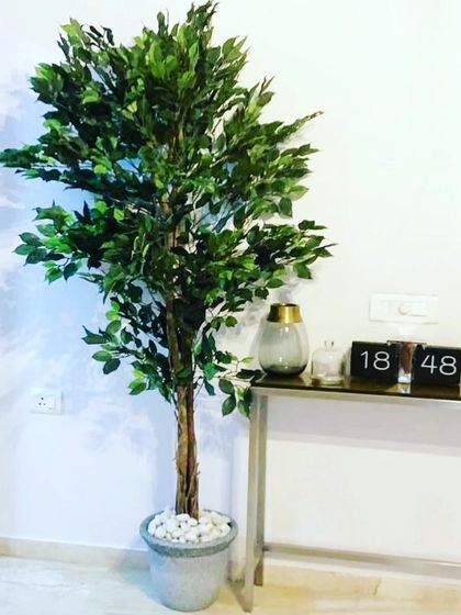 Another example of a tall artificial ficus tree in a decorative pot. This plant is perfect for filling an empty corner or placing by an entryway.