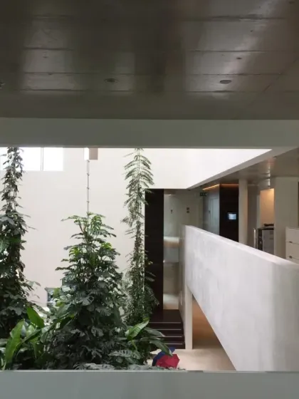 The multi-level atrium at Virchow 16 connects floors with light and greenery. This view shows how the open design fosters a sense of a single, unified community within the larger building.