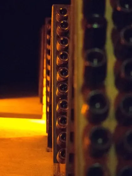 This is a view of our riddling racks, used for making sparkling wine. The art of riddling involves gently turning each bottle to move sediment toward the neck, a traditional method for achieving the perfect clarity in our Soirée Brut.