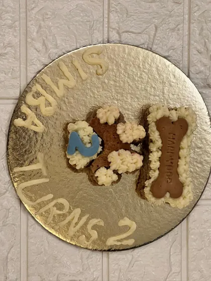 I had so much fun creating this custom cake for Simba's 2nd birthday. We can get creative with fun shapes like numbers or bones. If you have a fun idea for your dog's cake, just let me know!