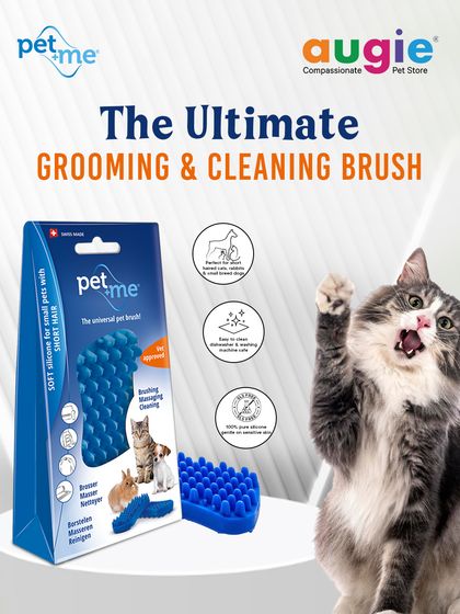 Augie Pets - Pet Supplies Spa Day at Home: Gentle Grooming Essentials photo 46