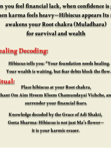 The red Hibiscus flower is a powerful tool for your Root Chakra (Muladhara). It awakens your energy for survival and wealth, helping you release karmic debts and financial fears.
