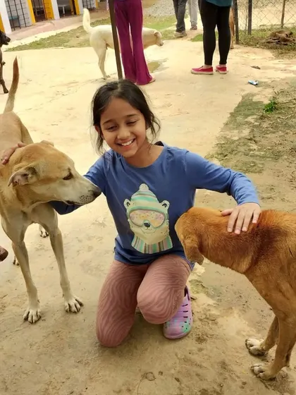A young supporter gets to know some of our friendly dogs. We believe in fostering a love for animals from a young age.