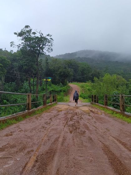 The muddy path leading into the dense forest on our Bheemeshwara trek, a true monsoon adventure.