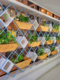 Plant Rental & Maintenance