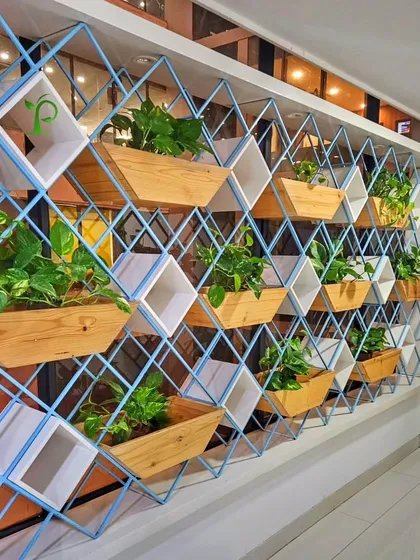 For this office, I created a unique plant partition that serves as both a stunning design feature and a natural space divider. The geometric metal frame combined with wooden and white planter boxes adds a modern, artistic touch to the workplace.
