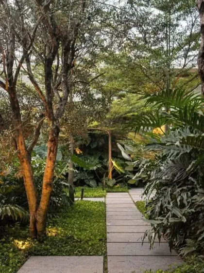 A stone pathway leads through a shaded garden filled with mature trees and dense undergrowth. The uplighting on the tree trunks adds a dramatic effect for evening enjoyment.