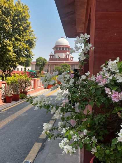 The path to justice is sometimes lined with flowers. A beautiful morning at the Supreme Court, reminding me of the beauty and hope that can be found even in the most serious of settings.