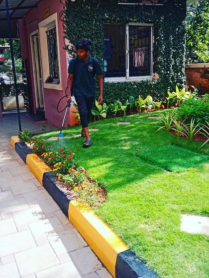 Maintaining the entrance of a property is important for first impressions. Our gardener is ensuring the lawn and flower beds are in top condition through regular care and treatment.