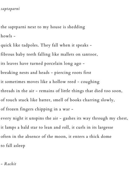 'saptaparni'. A poem personifying the saptaparni tree, describing its sounds and movements as it sheds its leaves.