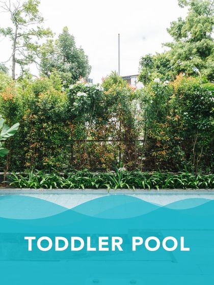 PM Swimming Centre - Specialized Aquatic Programs Toddler Splash & Play photo 3