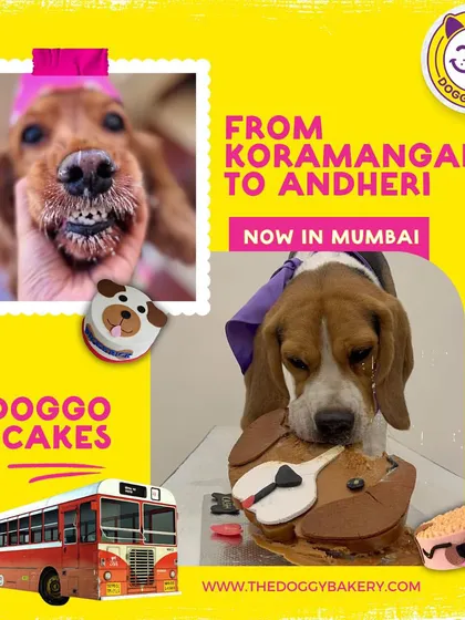 From Koramangala to Andheri! This graphic announces our expansion to Mumbai, bringing our farm-fresh, healthy dog cakes to a new city.