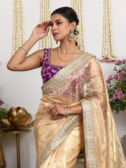 Another view of this graceful saree, highlighting the delicate organza fabric and the intricate border.