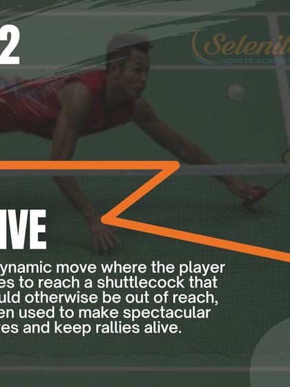 Selenite Sports - High Performance Badminton Training The Champion's Playbook photo 8